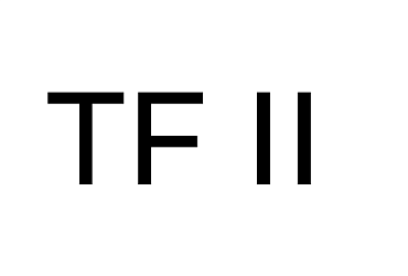 TF II